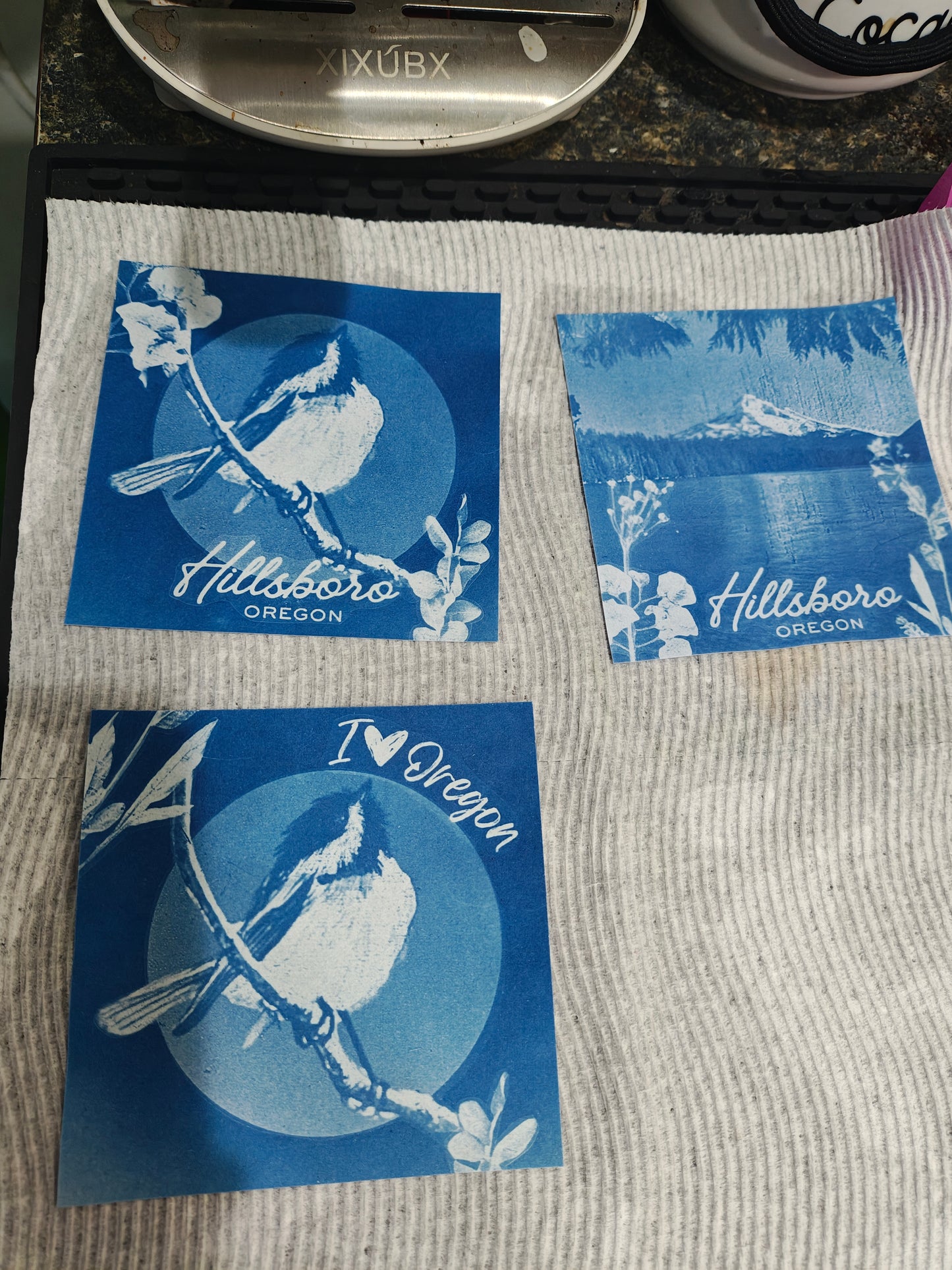 Cyanotype Print