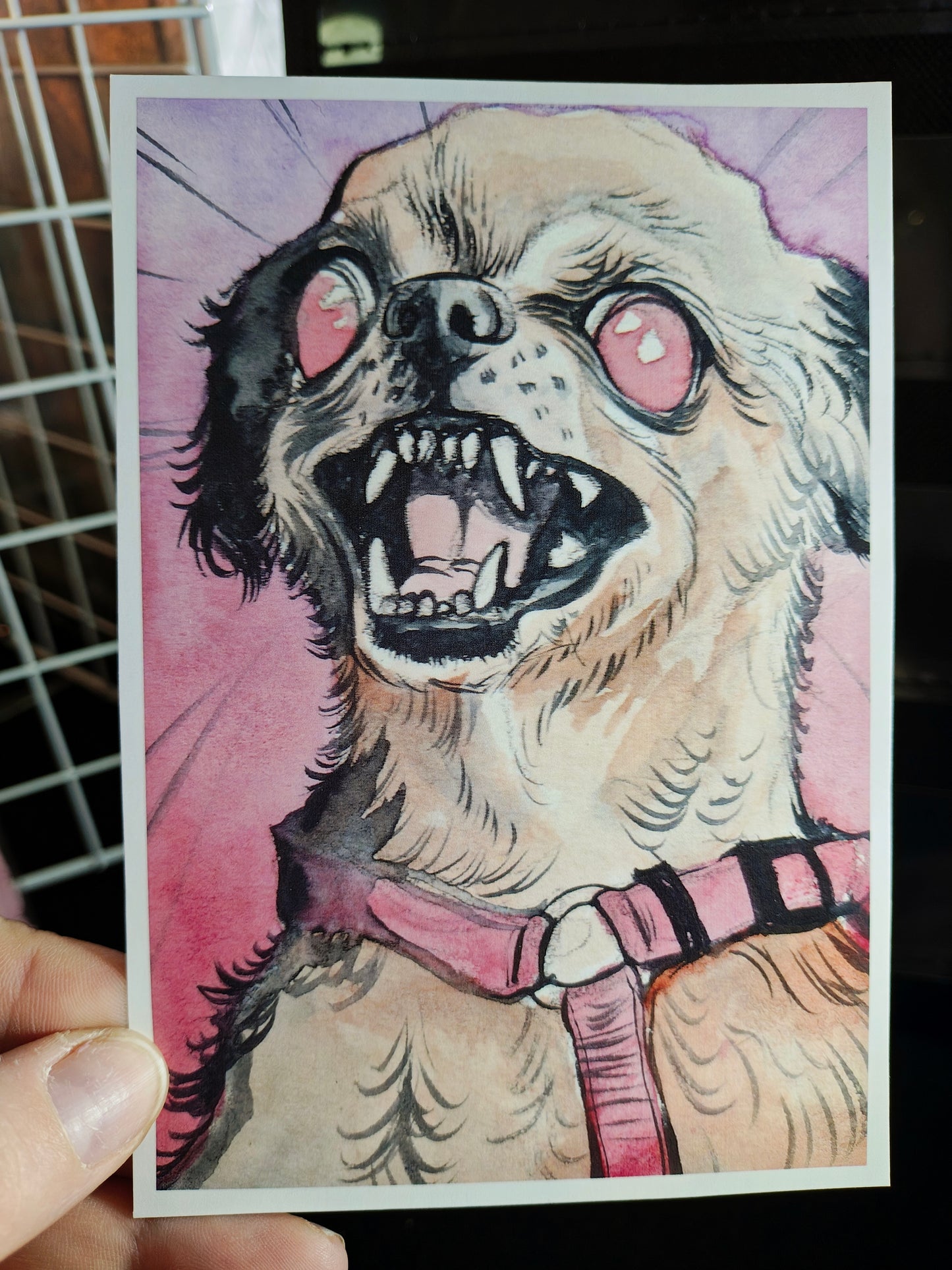 Snarly Chihuahua Print