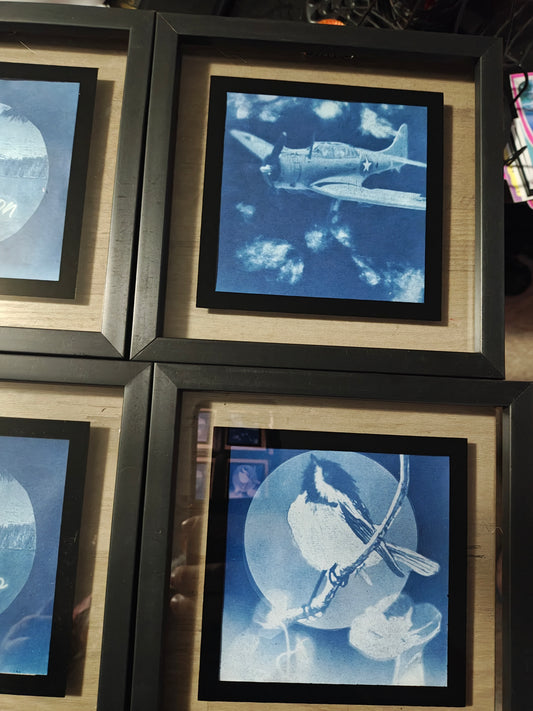 Framed Cyanotype Print