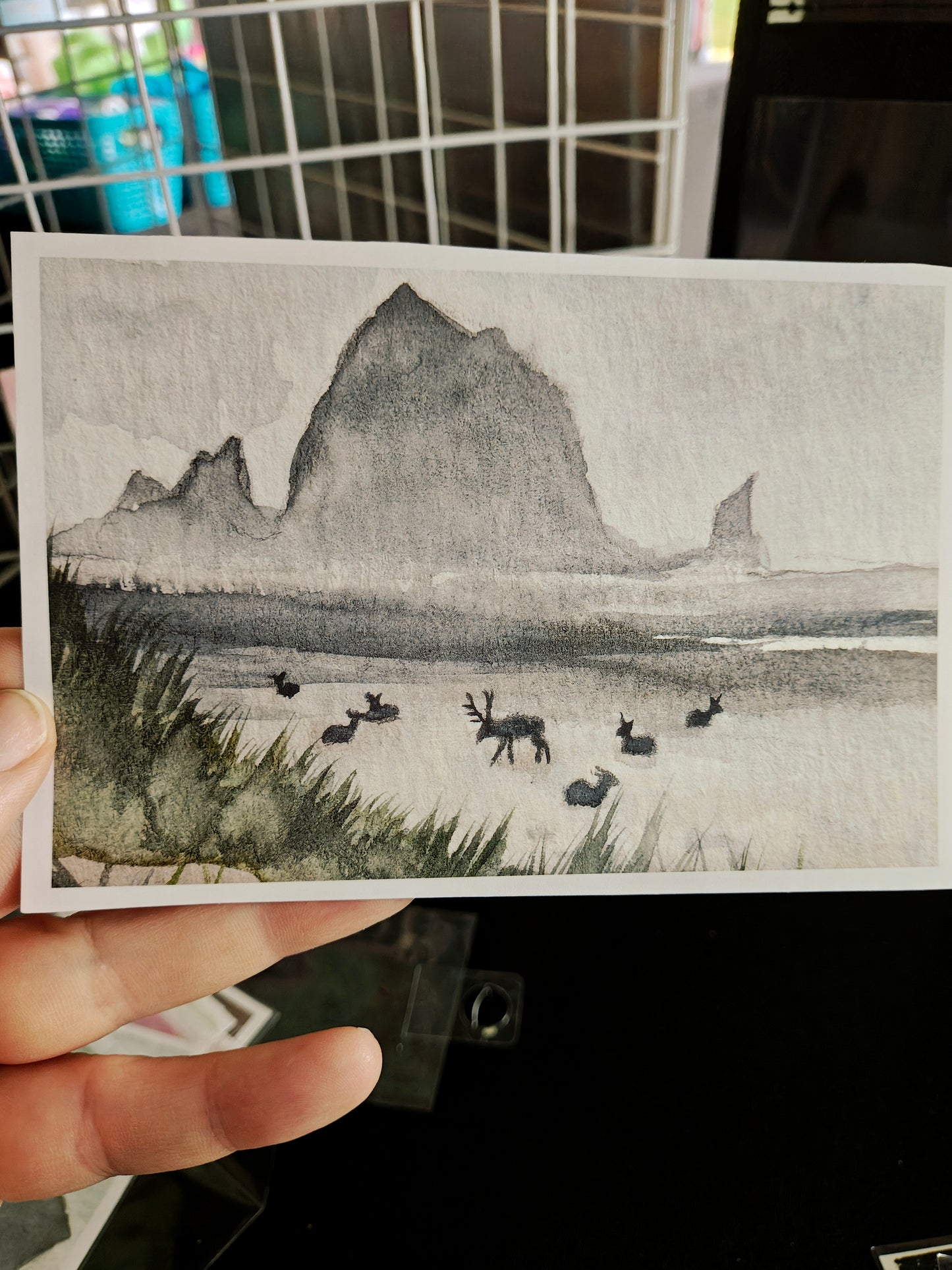 Elk on Cannon Beach Print